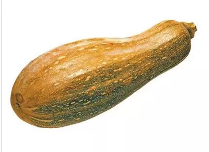 知道最甜最面的南瓜品種嗎？盤點(diǎn)十種有營養(yǎng)的甜面南瓜...