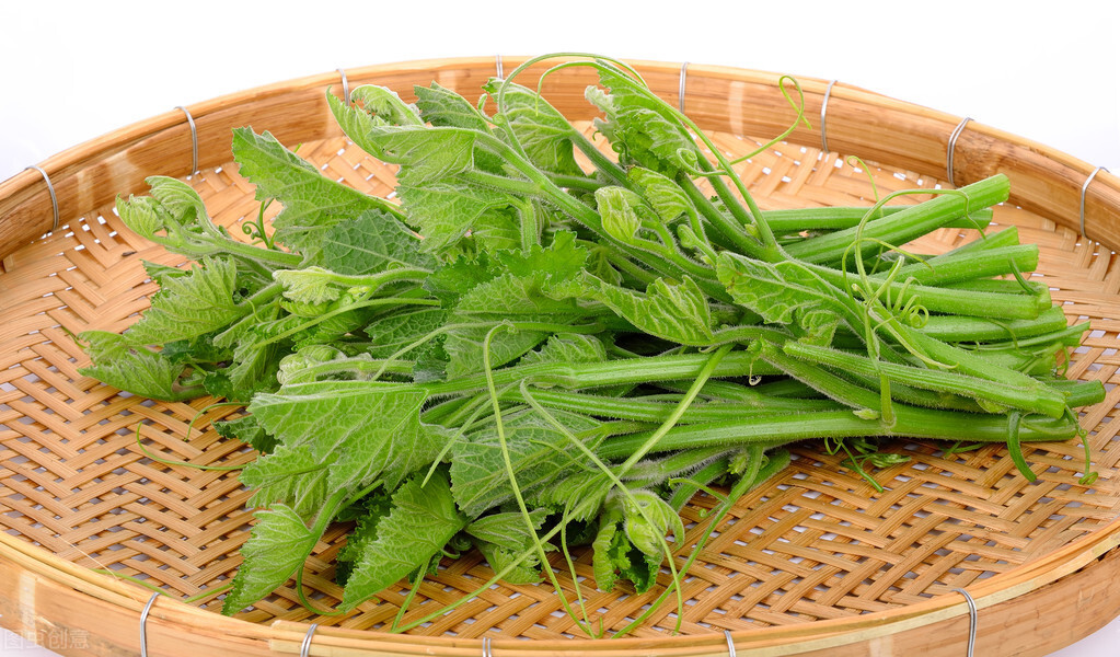 種這種綠葉菜，栽培輕松，畝產值過萬元，菜農表示很劃算