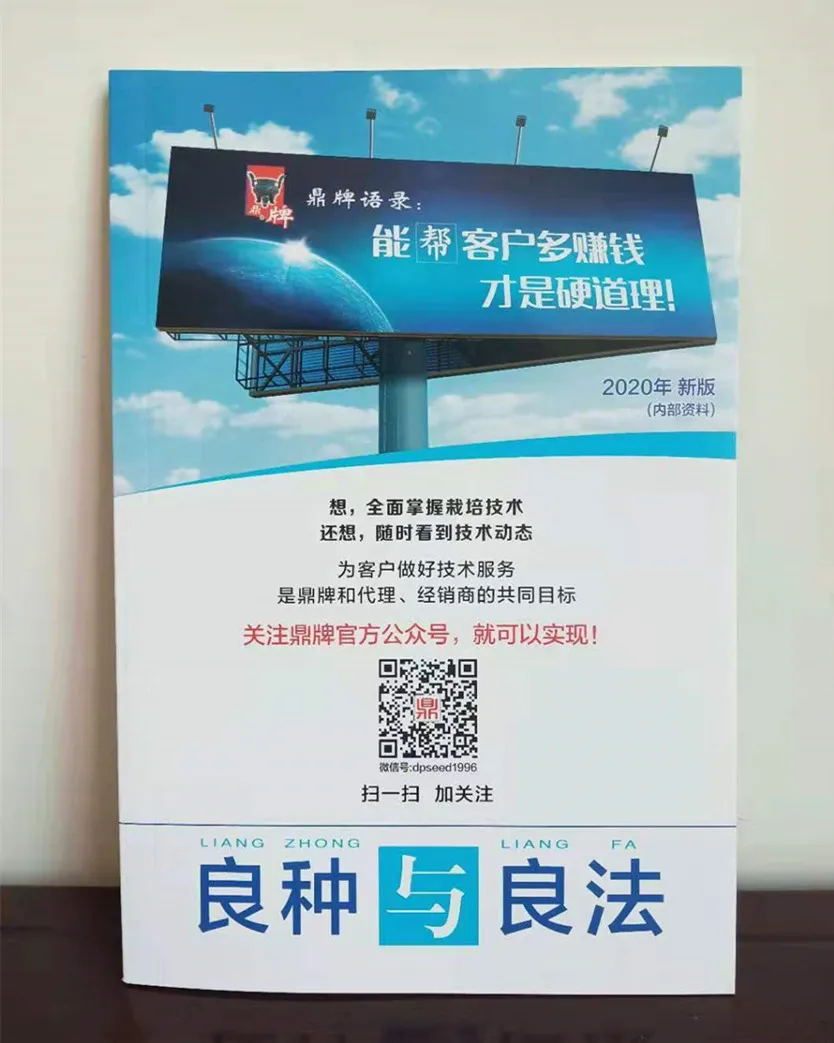 河南焦作的李向林今年種植甜瓜新品種,客戶直接拉貨走人