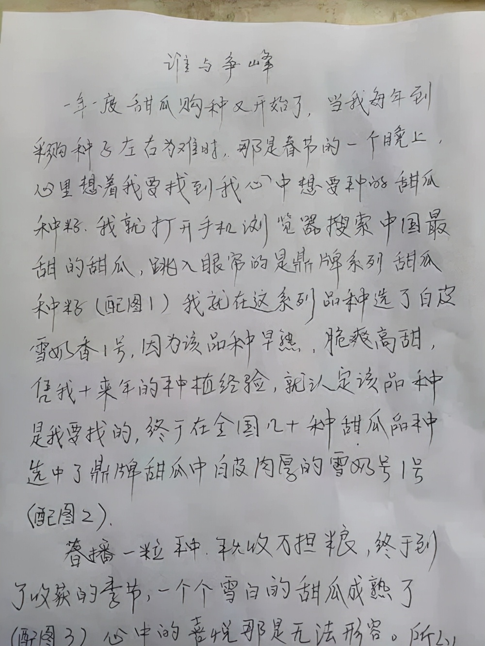 河南焦作的李向林今年種植甜瓜新品種,客戶直接拉貨走人