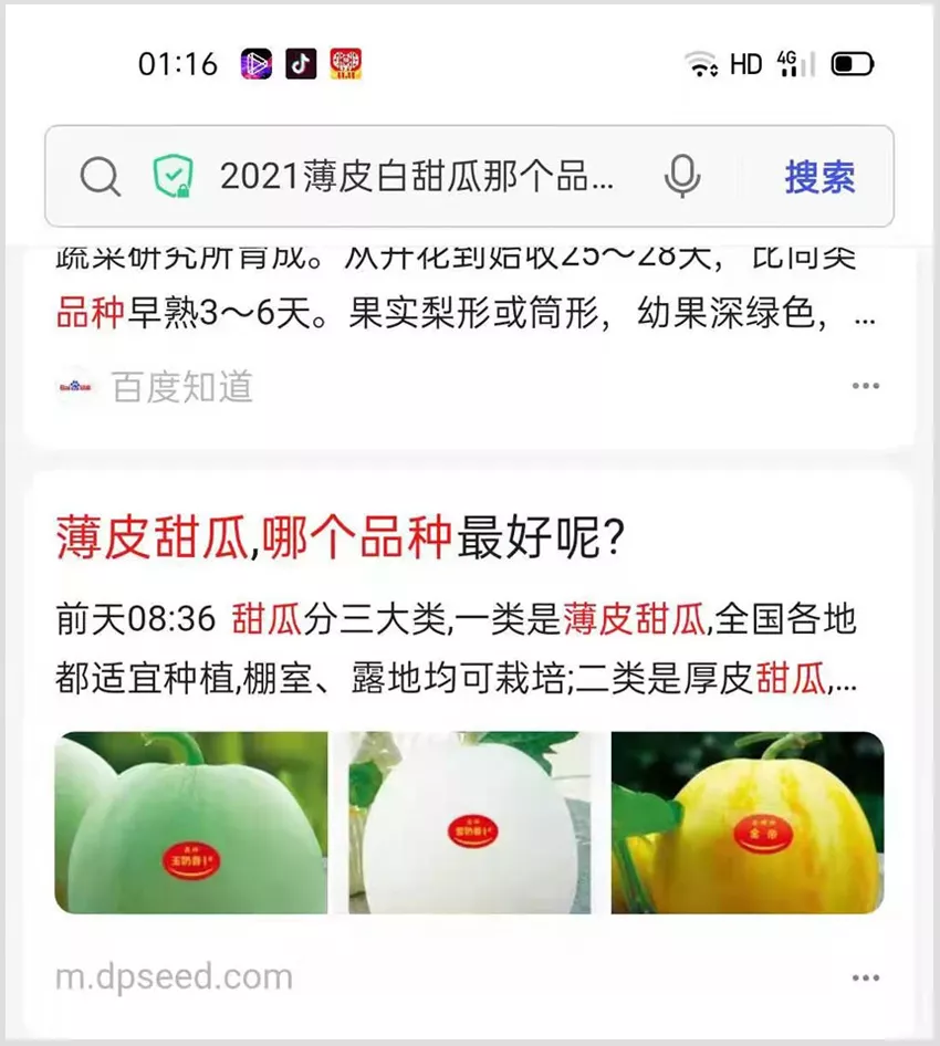 河南焦作的李向林今年種植甜瓜新品種,客戶直接拉貨走人